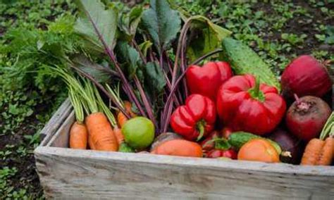 Curso Producción Agrícola Residuo Cero