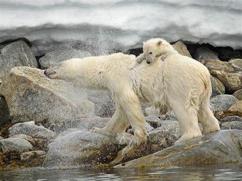 National Geographic Εικόνες της εβδομάδας Tutgr