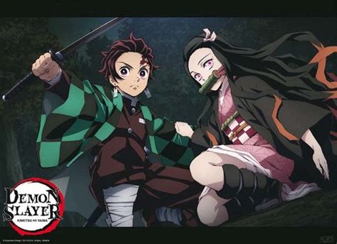 Abystyle Affiche Demon Slayer Tanjiro Et Nezuko Fight Position