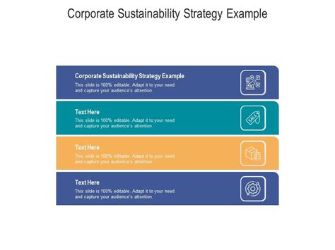 Corporate Sustainability Strategy Example Ppt Powerpoint Presentation