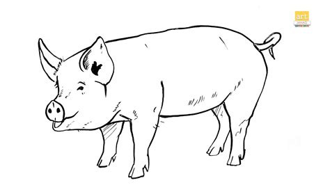 Pig Outline