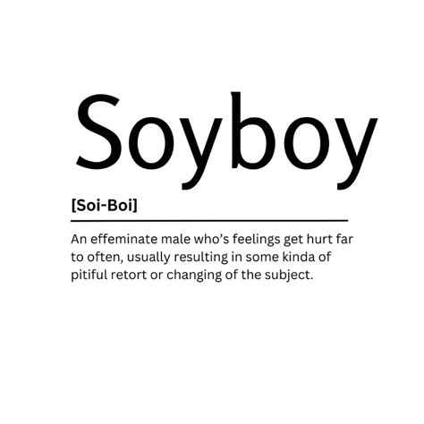 Soyboy Dictionary Definition Kaigozen Digital Art Ai Humor