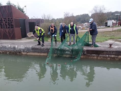 Pollution Du Canal Du Loing En Seine Et Marne Du Sucre L Origine De