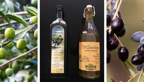 11 Italy's Finest Olive Oil Brands for Authentic Taste - Italian ...