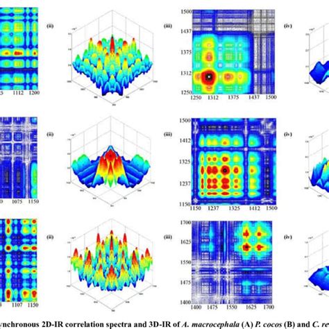 Synchronous D Ir Correlation Spectra And D Ir Of P Ternata A G