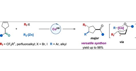 Modular Diastereoselective Construction Of Polysubstituted