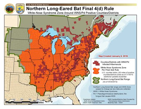 Final Ruling Passed to Protect Northern Long-Eared Bat