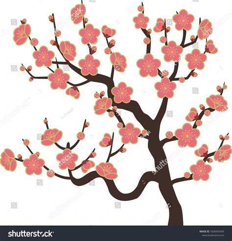 Plum Blossom Illustration Red Plum Stock Vector Royalty Free