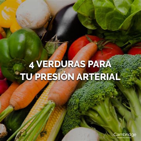 4 verduras para tu presión arterial en 2024 Verduras Para bajar la