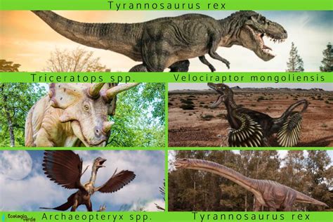 Cuántas especies de dinosaurios existieron Datos interesantes