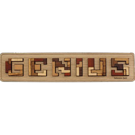 Genius | Wood Puzzles | Puzzle Master Inc