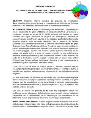 Informe Ejecutivo Proyecto PDF