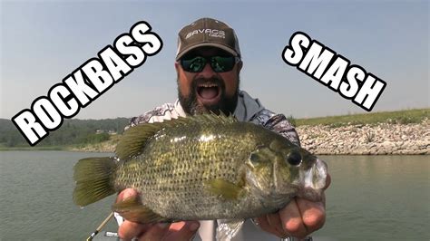 Rock Bass Smash How To Catch Rock Bass YouTube