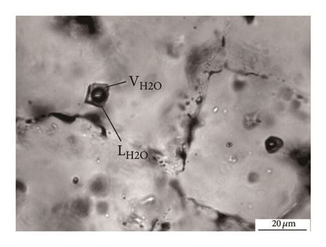 Photomicrographs Of Representative Fluid Inclusions From The Chafagou