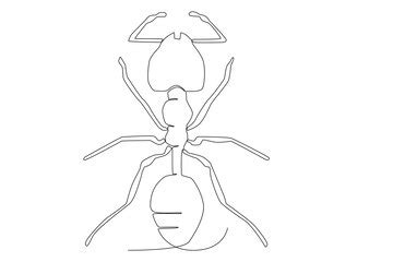 Premium Vector | Giant ant line art