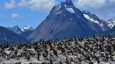 Ruta Del Fin Del Mundo Guía Para Conocer Los Imperdibles De Tierra Del