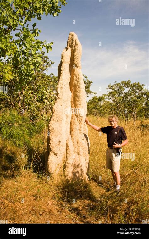 Uno de los más fascinantes monumentos en Litchfield NP son el gigante