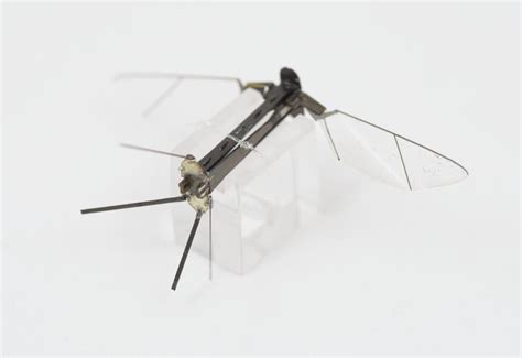 Robobee | Science Museum Group Collection