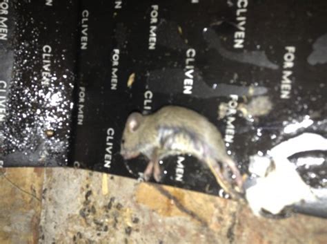 Создать мем "Вапв" - Картинки - Meme-arsenal.com