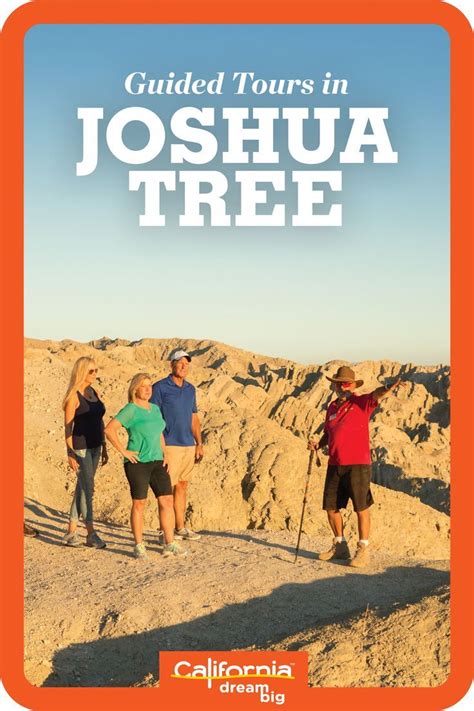 Incredible guided tours at joshua tree national park – Artofit