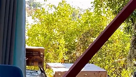 Elijah Gay Porn Creator Videos Free Amateur Nudes XHamster