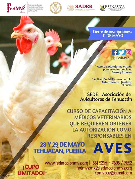 Curso De Capacitaci N A M Dicos Veterinarios Que Requieren Obtener La