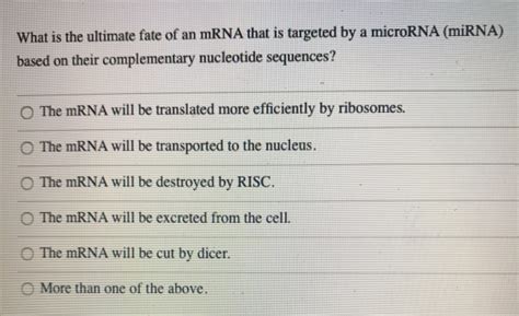 What is the ultimate fate of an mRNA that is targeted | Chegg.com 