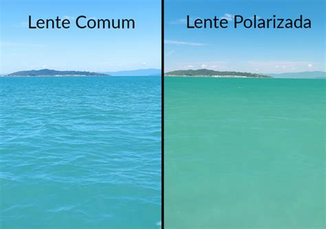 A Fotografia Feita Sob Luz Polarizada