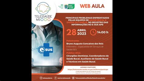 Web Aula Principais Problemas Enfrentados Pelas ESB E SF No Registro