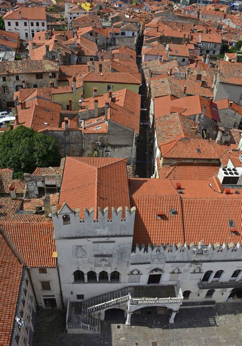 6 Things To Do In Koper