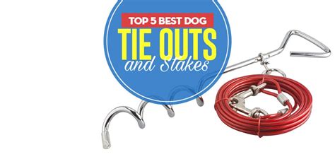 Top 5 Best Dog Tie Out and Stake Choices in 2019