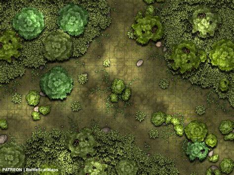 Forest Clearing Battle Map Dnd Battle Map D D Battlemap Etsy Forest