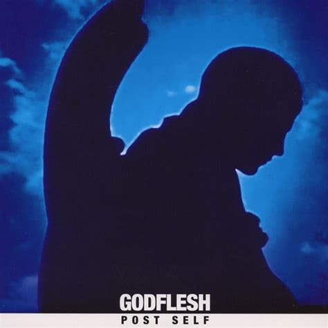 Godflesh – Post Self (2017, Vinyl) - Discogs