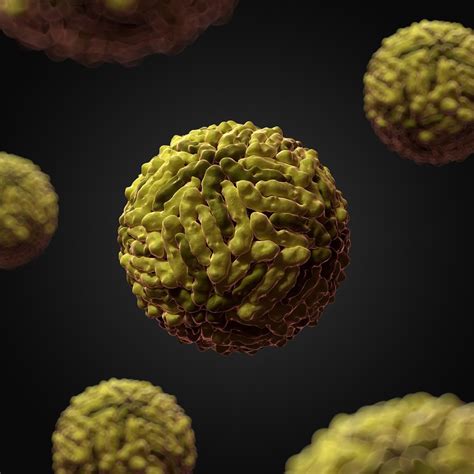 Photos 9 Deadly Viruses That Look Captivatingly Beautiful When Viewed