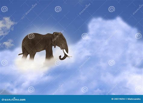 Elephant on cloud stock photo. Image of environment, jumbo - 28519694