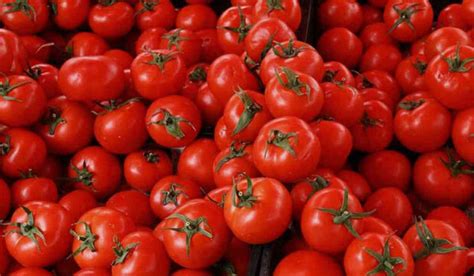 Government To Sell Tomatoes At Rs Kg From Today