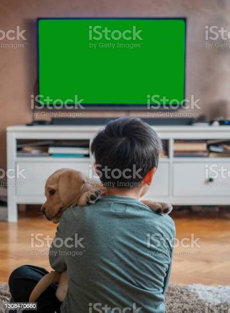 강아지와 Tv를보고 귀여운 소년 Tv 보기에 대한 스톡 사진 및 기타 이미지 Tv 보기 개 애완 동물 Istock