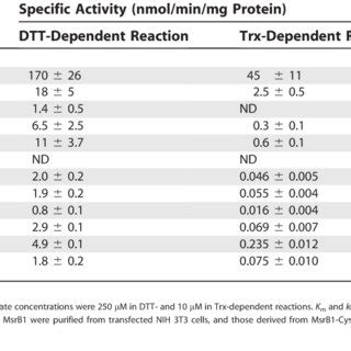 Specific Activities And Kinetic Constants Of Wild Type And Mutant Forms