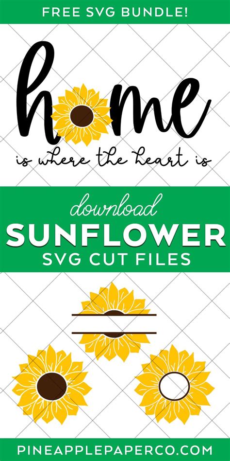 Free Sunflower Svg File Artofit