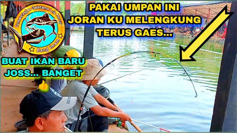 UMPAN UMPAN JITU GALATAMA LELE BUAT IKAN BARU DAN IKAN LAMA