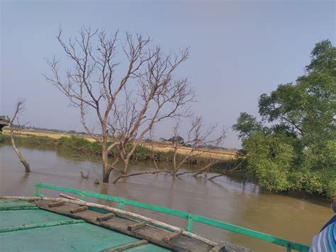 Wanderlust.Debashish: BHITARKANIKA - TRIP TO MANGROVE FOREST OF ODISHA