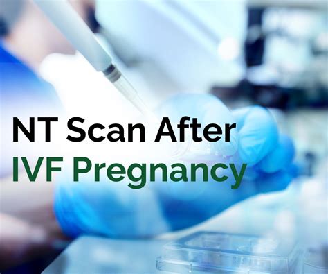 An Expert Guide To Nt Scan After Ivf Pregnancy In 2023