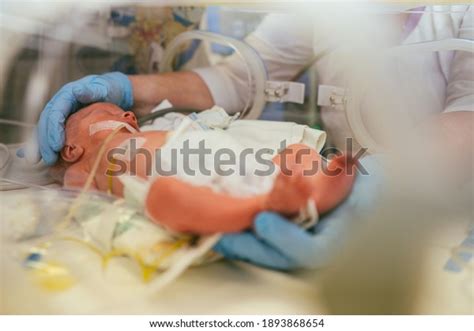 Infant Resuscitation Over 785 Royalty Free Licensable Stock Photos