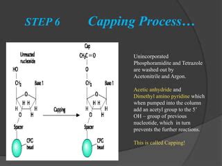 Chemical synthesis of DNA By Prabhu Thirusangu | PPT