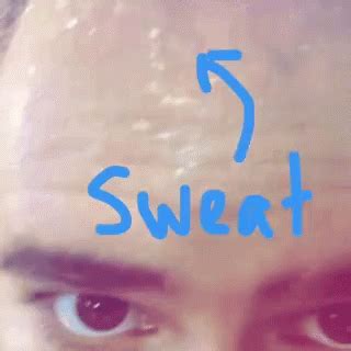 Sweat Gym Sweat Gym Discover Share Gifs