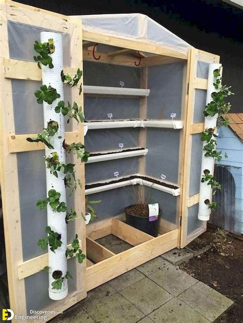 How To Make Home Garden And Fresh Vegetables By Pvc Pipe Engineering