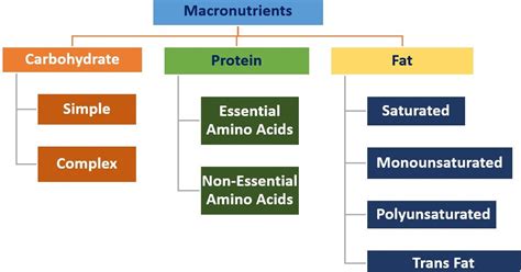 Fat Protein Carb S Macronutrients