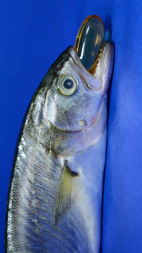 Do You Masturbate While Watching Porn Ask Yourself These Questions