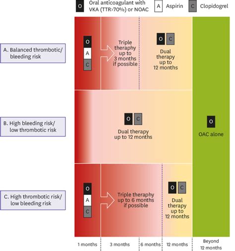 Suggested Algorithm For Antithrombotic Therapy In Patients Undergoing