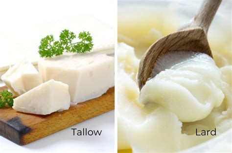 Lard Vs Tallow Analyzing Nutritional Benefits And Cooking Methods